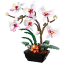 Flowers Orchid Building blocks